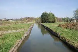 Młynówka Czaniecka