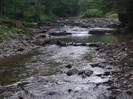 Potok Cicha (Ujsoła) SO-1