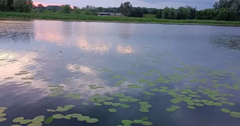 Jezioro Starogrodzkie