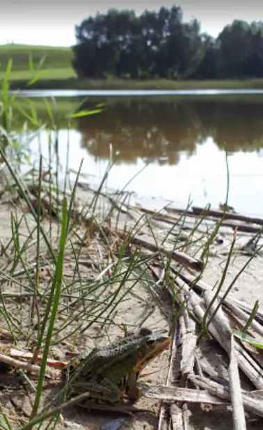 Jezioro Gwiździny (Rubkowo)