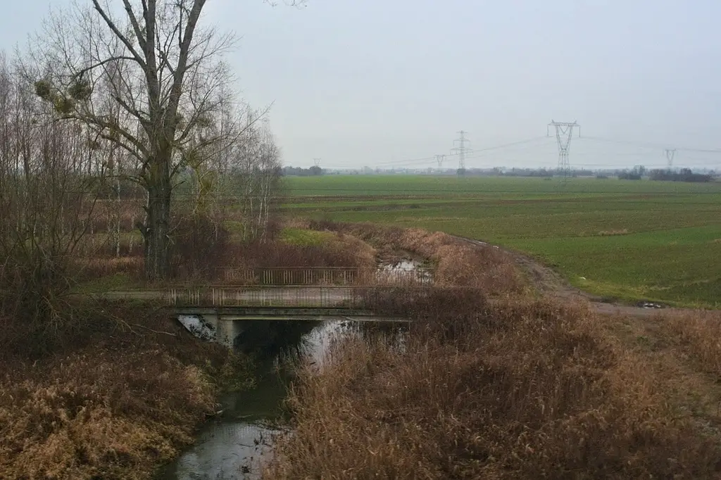 Kanał Gniewoszowsko – Kozienicki