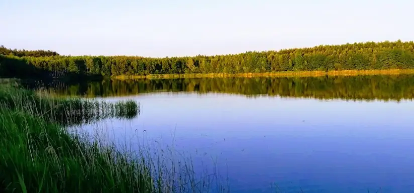 Zbiornik Wodny Radzki Wyrobiska