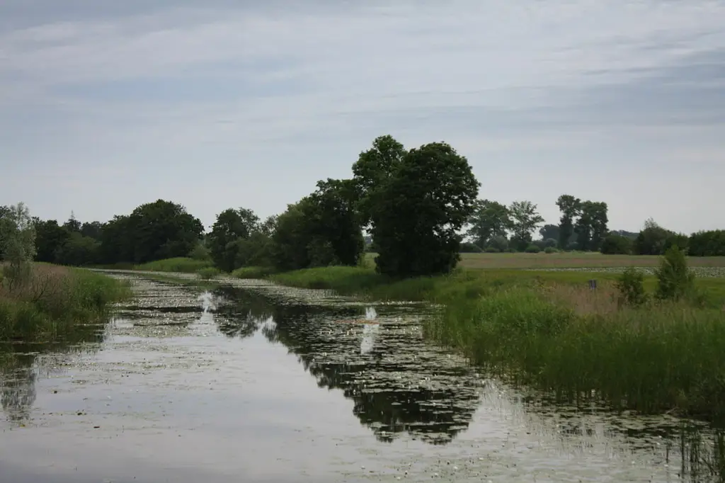 Rzeka Wisła Królewiecka