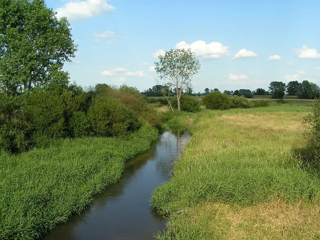 Rzeka Kiełbaska