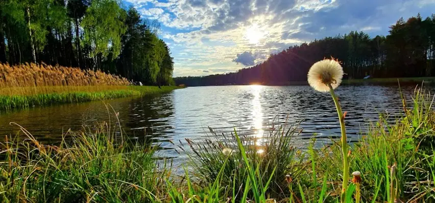 Zbiornik Chociszew Lesisko