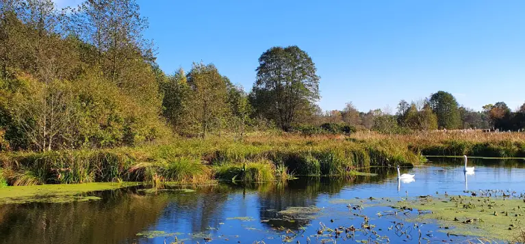 Doleck (Górala szyja)