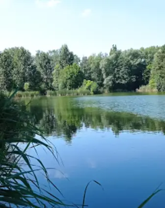 Ostrzeszów - 5,97 ha