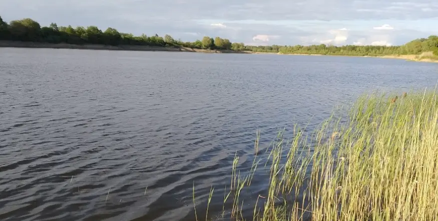 Suszewo-Wójcin - 267,7ha