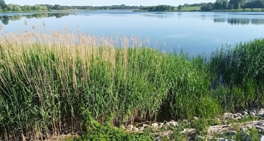 Stare Miasto-Powa 75,77ha