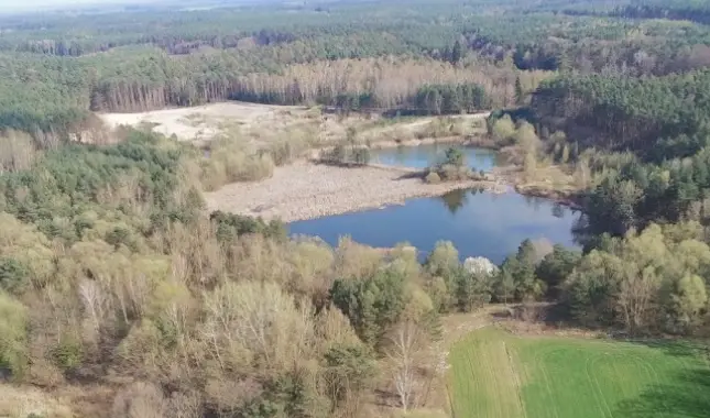 Gl. Rostarzewo (Rakoniewice)