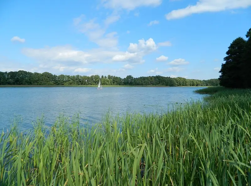 Jezioro Królewskie (Łokacz)