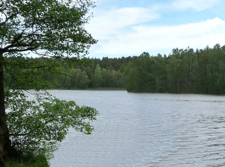 Jezioro Kochlin Duży (Białe, Dzwonowo)