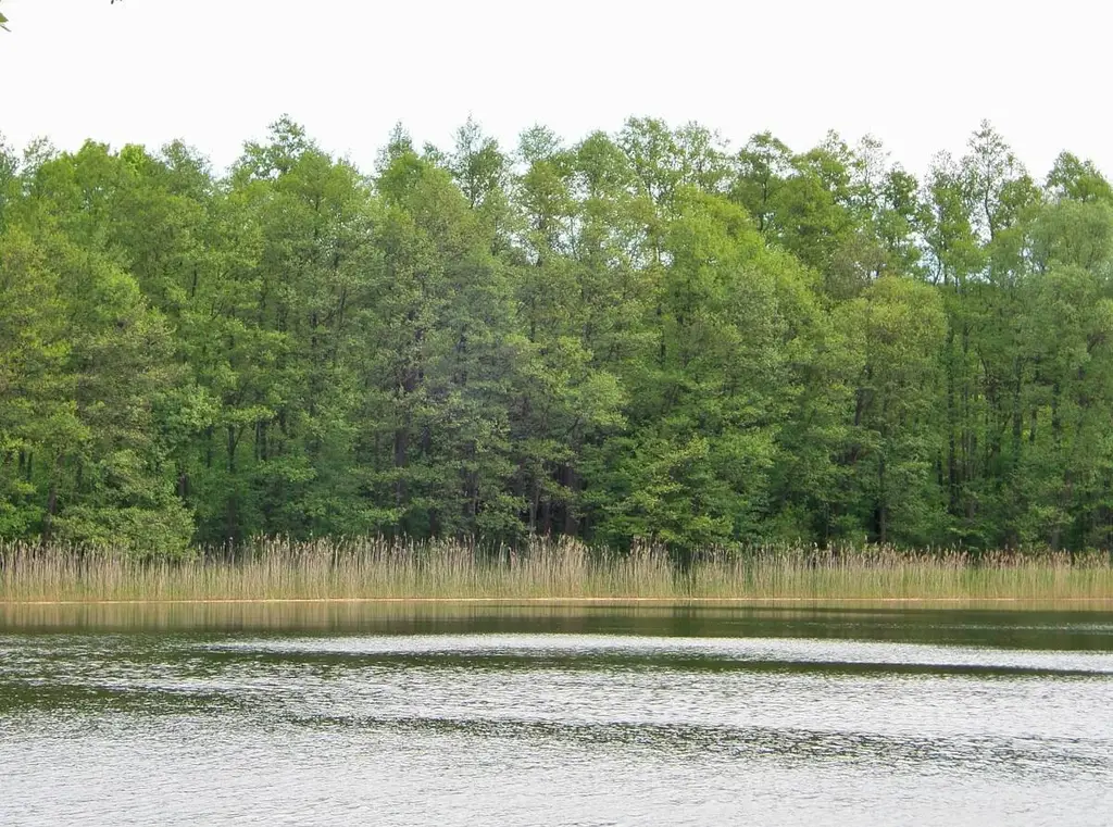 Jezioro Bytyń Wąski