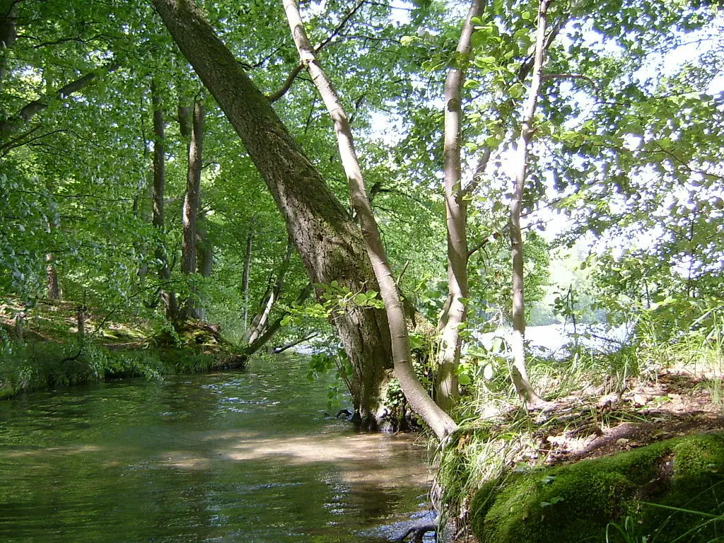 Rzeka Santoczna