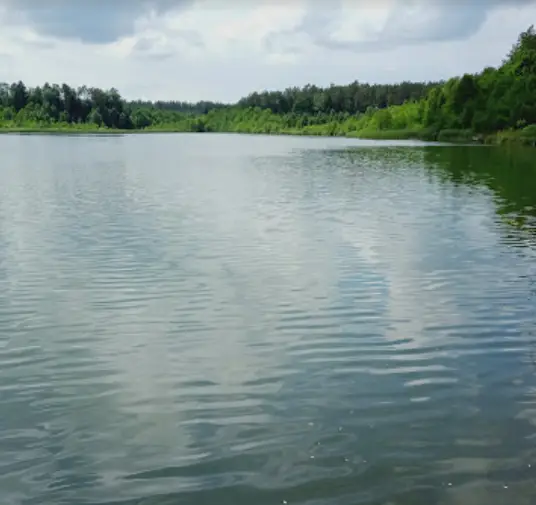 Jezioro Kocie Duże (Pogorzelskie)