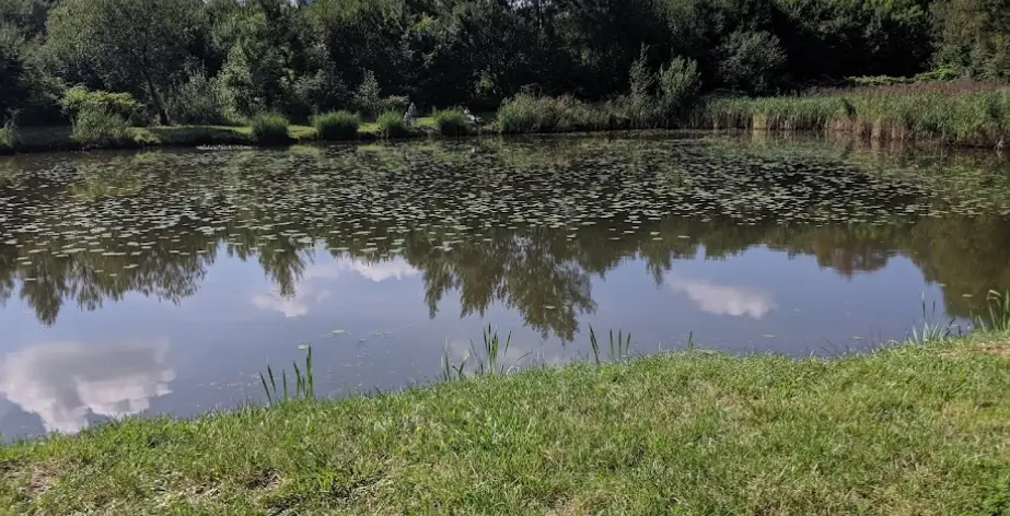 Lipka - łowisko młodzieżowe