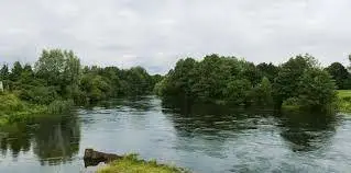 Rezerwat Przyrody Doliny Rzeki Brdy 