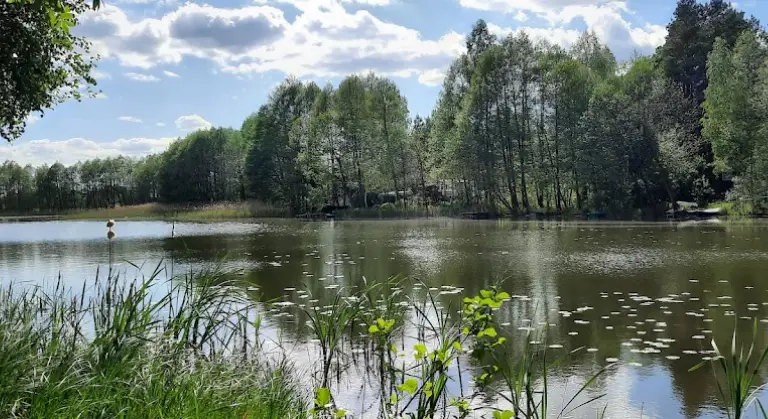 Zalesie Królewskie (Zaleskie)