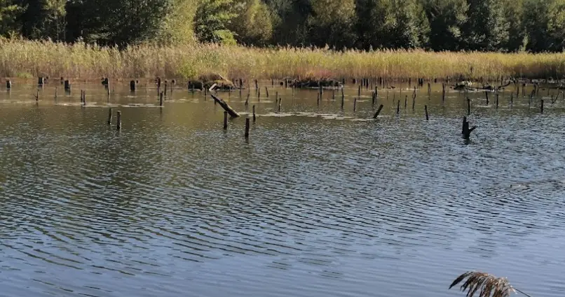 Zalewisko I i II nr 222