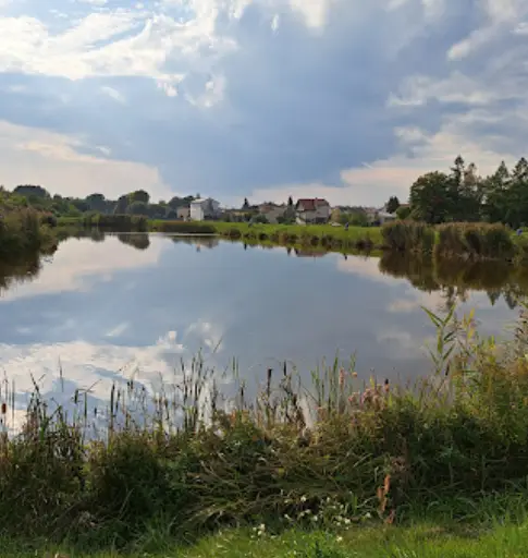 Zalew w Łaskarzewie