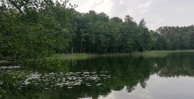 Niemka Duża (Kamieńskie, Podleśne)