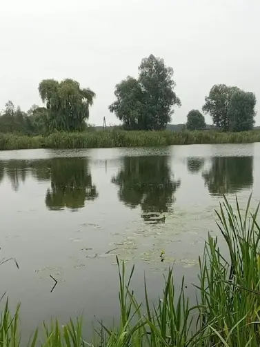 Trzeci Staw (Koserz)