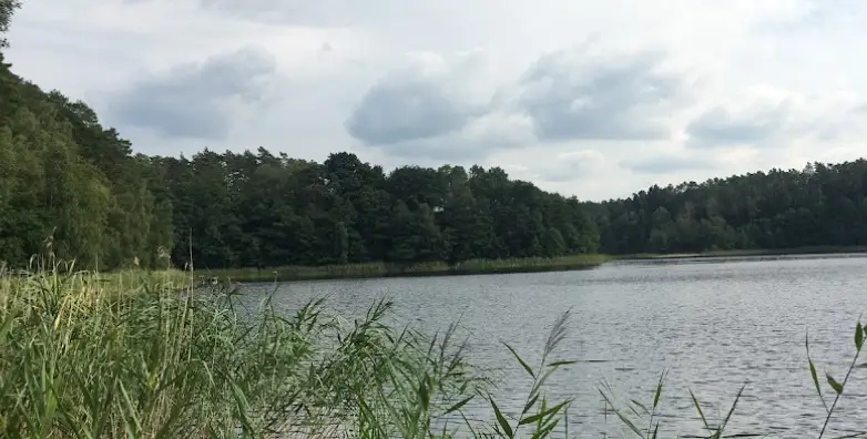 Wilcze (Jasne, Zygmuntowskie)