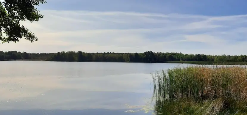 Jezioro Czarne Sosnowickie