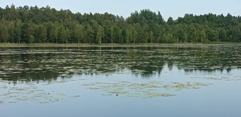Jezioro Gronowskie