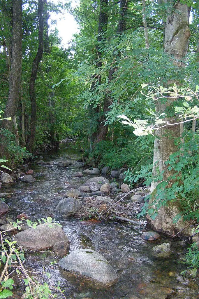 Rzeka Czarna Hańcza nr 7