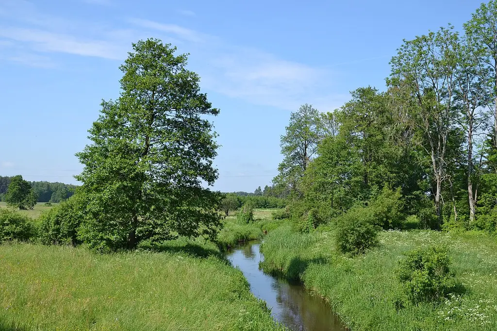 Rzeka Wołkuszanka nr 1
