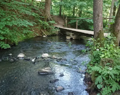 Rzeka Błędzianka nr 2