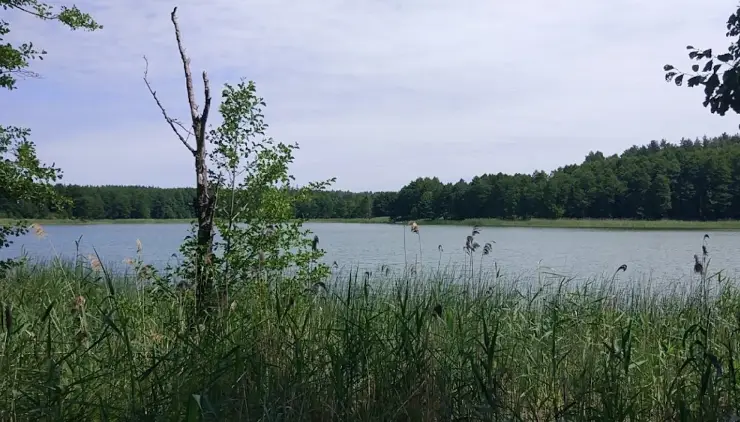 Jezioro Żubrowo