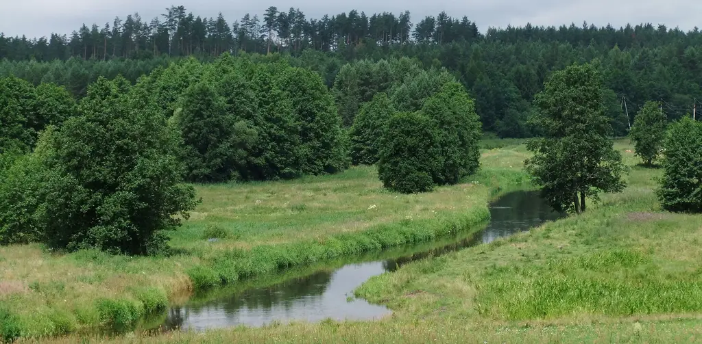 Rzeka Gołdapa