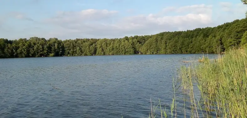 Jezioro Małomyśliborskie
