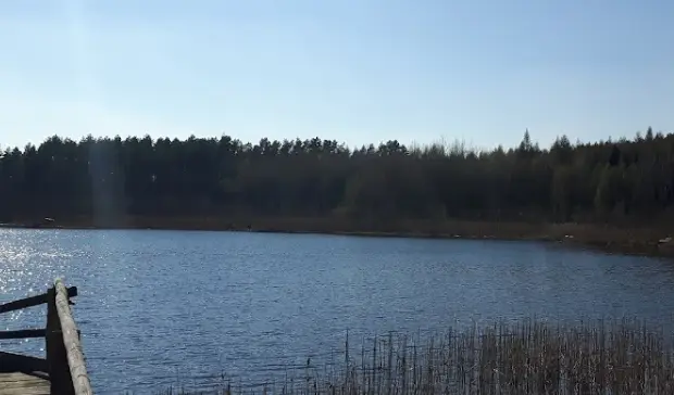 Jezioro Radostów Cedyński