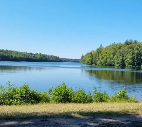 Jezioro Trzcińskie