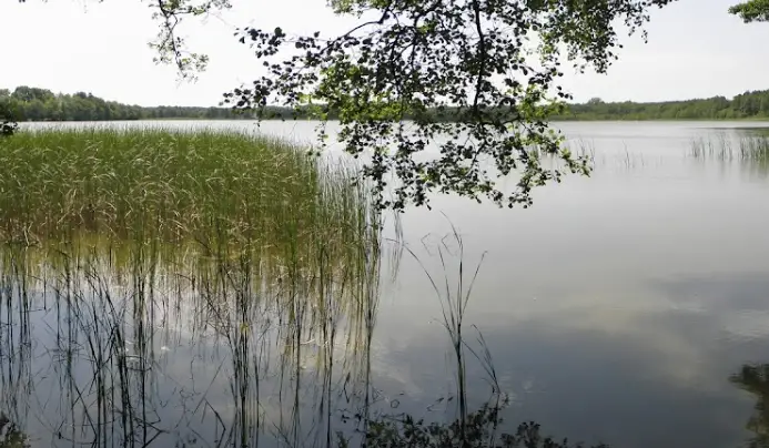 Jezioro Żółwino (Żółwińskie)