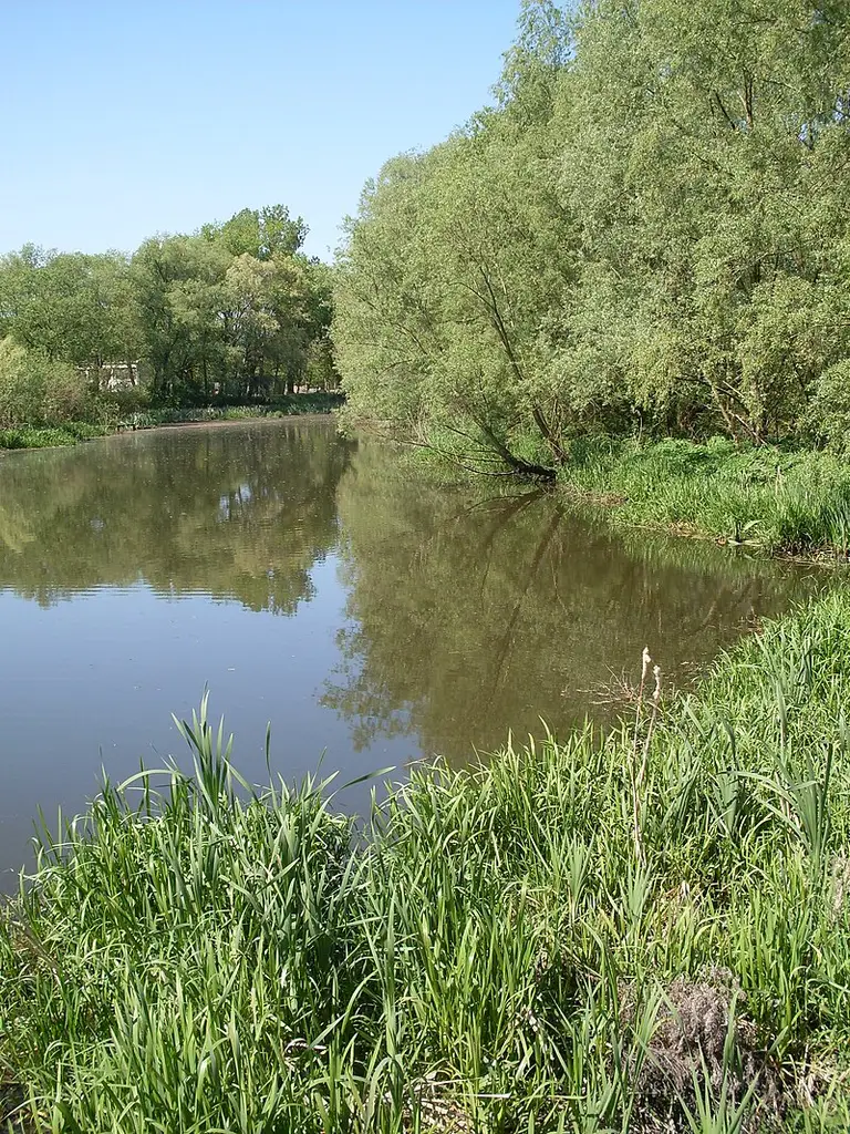 Rzeka Łarpia 023