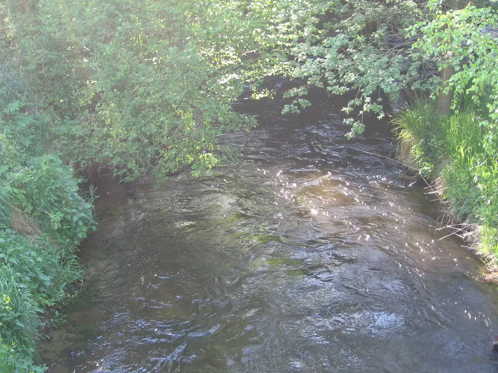 Rzeka Brzeźnicka Węgorza 013