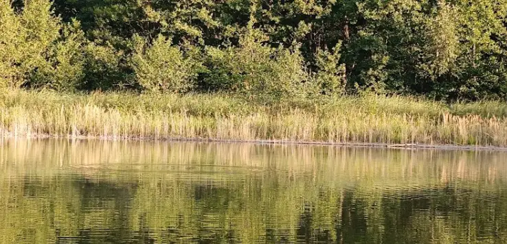 Jezioro Jarnatowskie