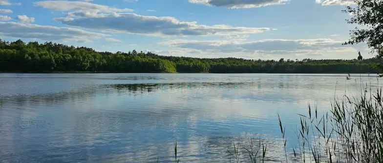 Jezioro Rokitno
