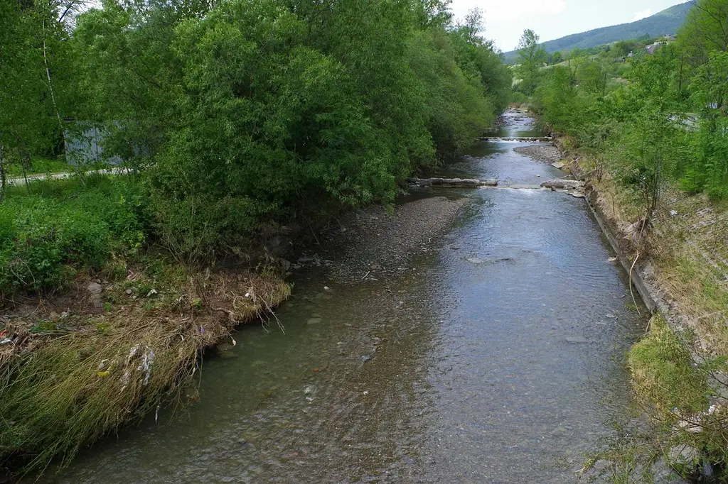 Rzeka Smolnik