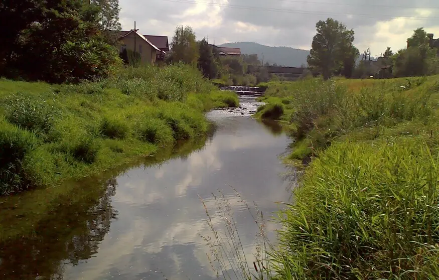 Rzeka Poniczanka