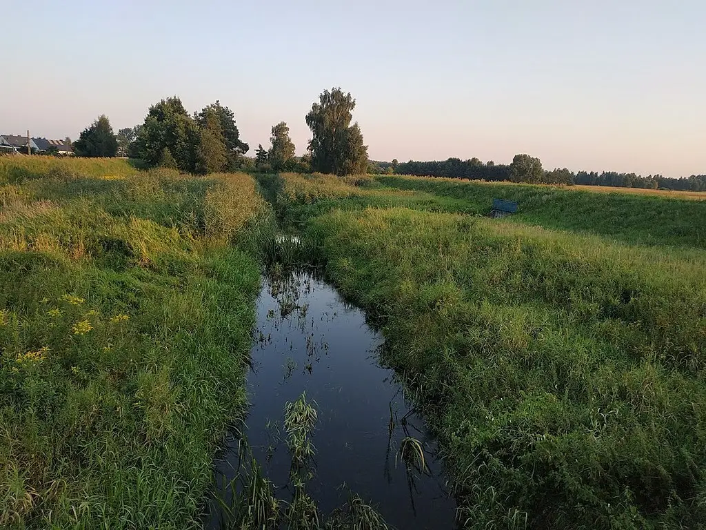Rzeka Babulówka