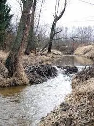 Rzeka Barcówka