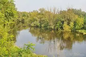Rzeka Dąbrówka