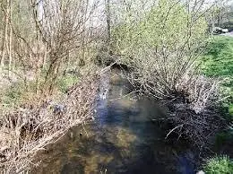 Rzeka Gorzyczanka