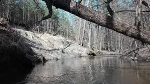 Rzeka Brzeźnica (Brzeźniczanka)