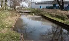Rzeka Czarna Struga